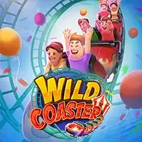 WILD COASTER